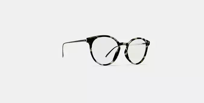 Langley Eyeglasses in Opal Tortoise with Riesling