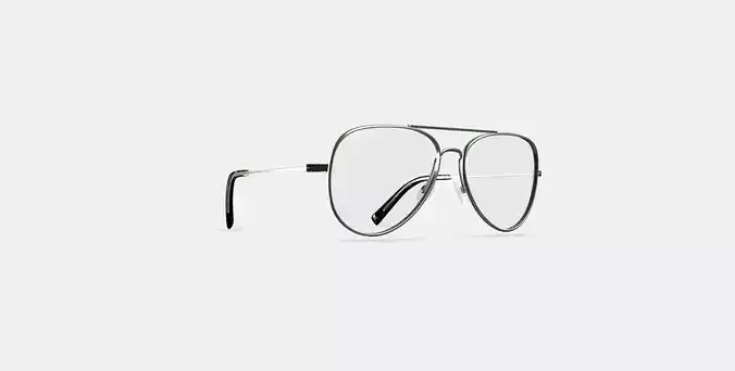 Raider Eyeglasses in Polished Silver
