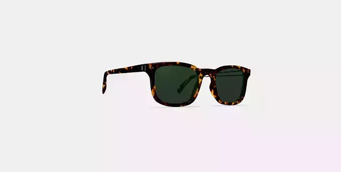 Samir Sunglasses in Black Oak Tortoise