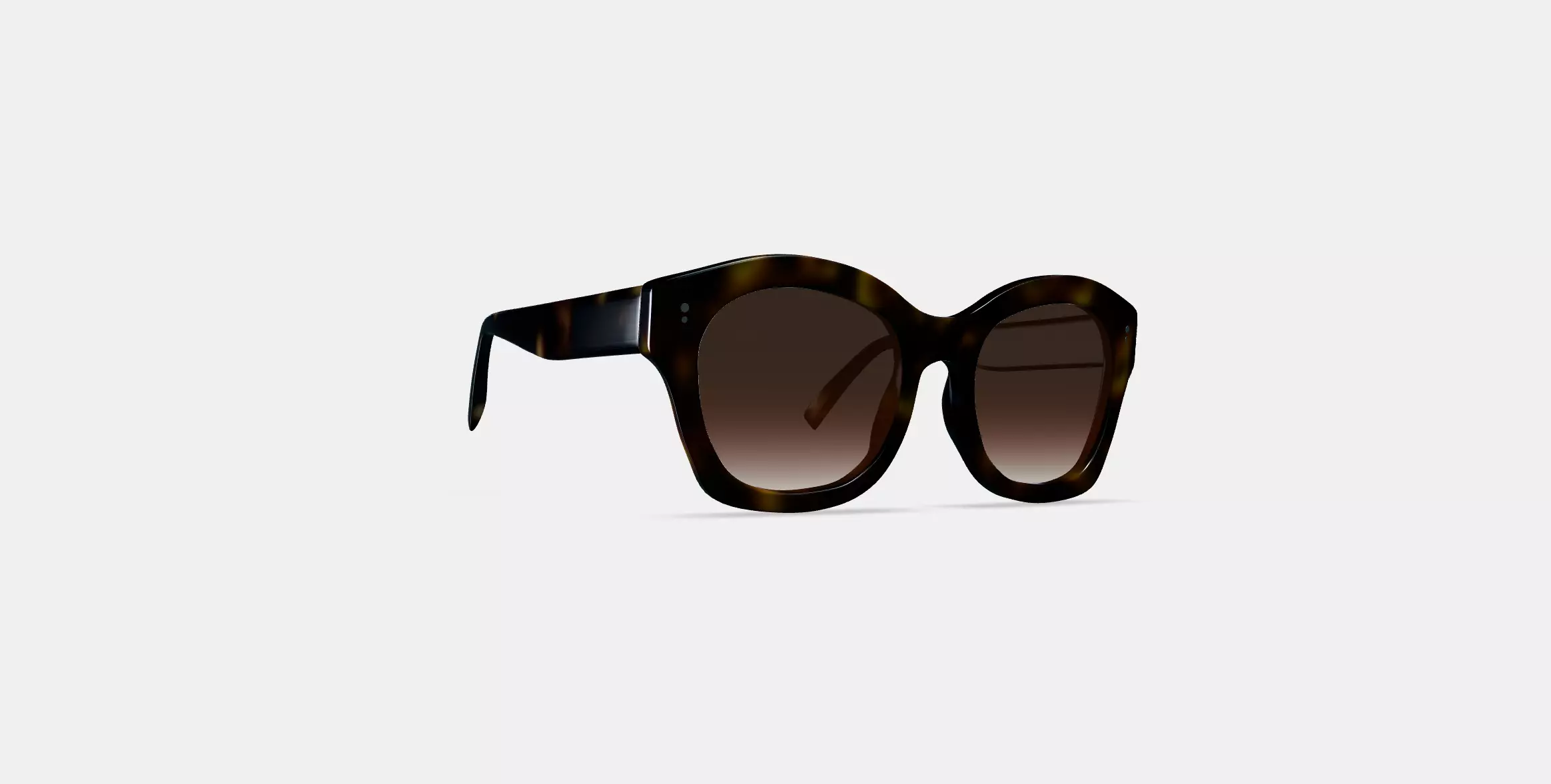 Gael Sunglasses in Cognac Tortoise 3D model_0