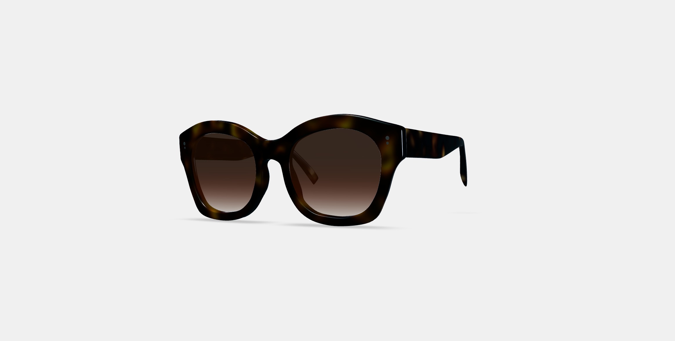 Gael Sunglasses in Cognac Tortoise 3D model_12
