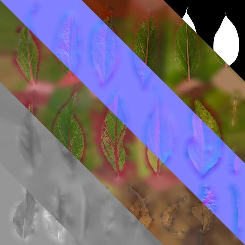 Anydrafts Aglaonema crete Leaf 02 F Texture_8