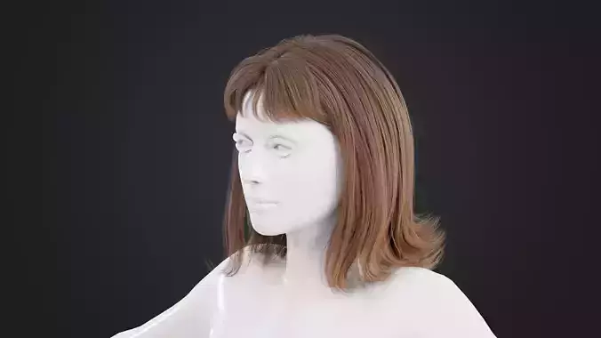 Realistic Female Hair Low-poly 3D model