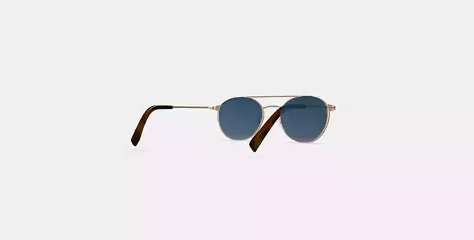 Fisher Sunglasses in Polished Gold