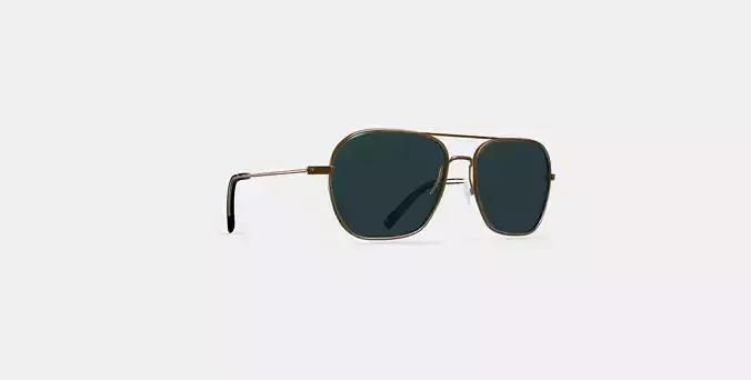 Abe Sunglasses in Polished Gold