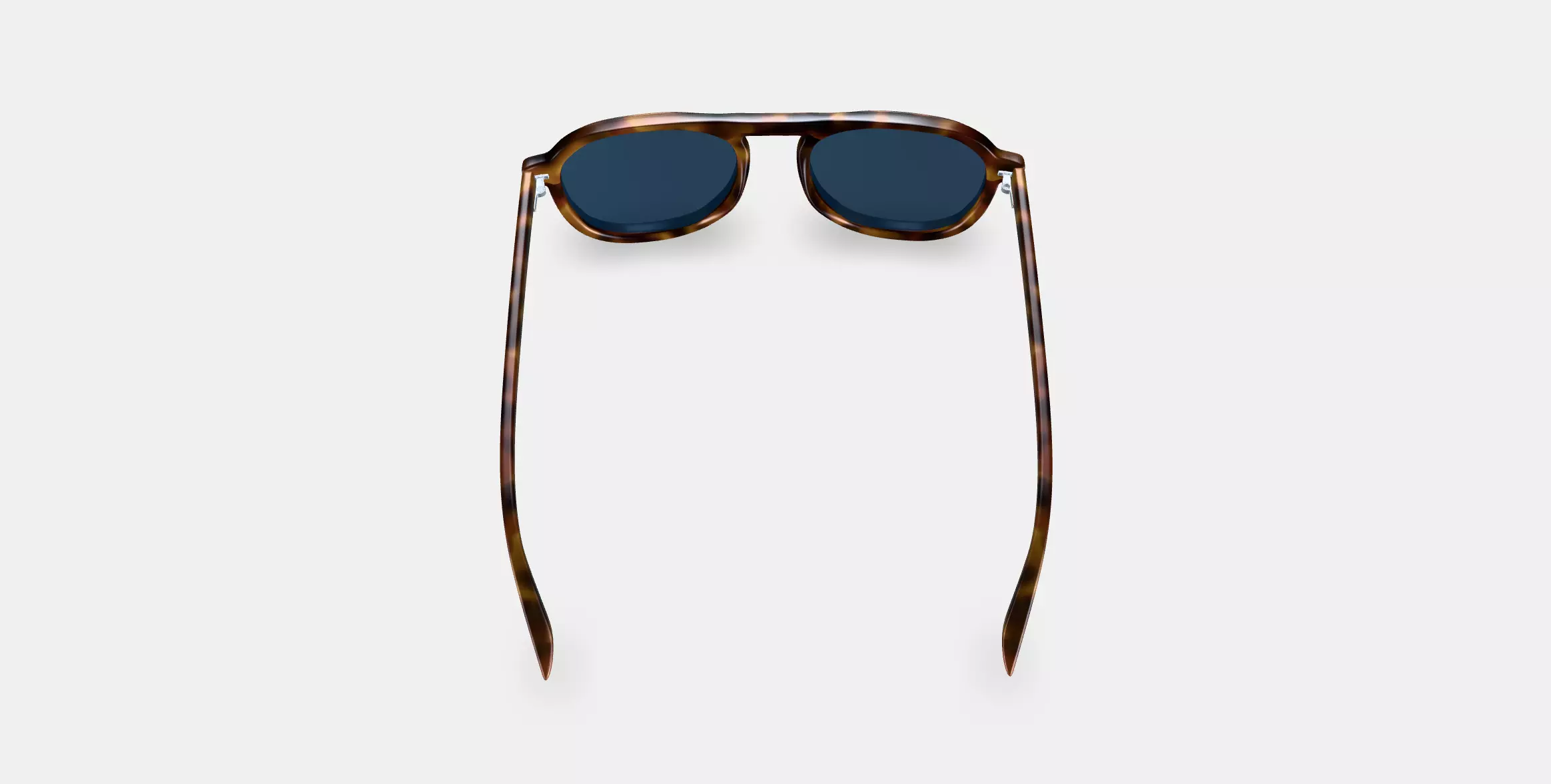 Blaise Sunglasses in Woodgrain Tortoise 3D model_0