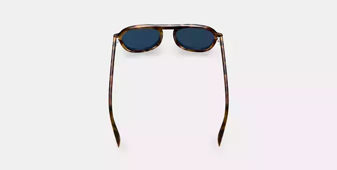 Blaise Sunglasses in Woodgrain Tortoise 3D model