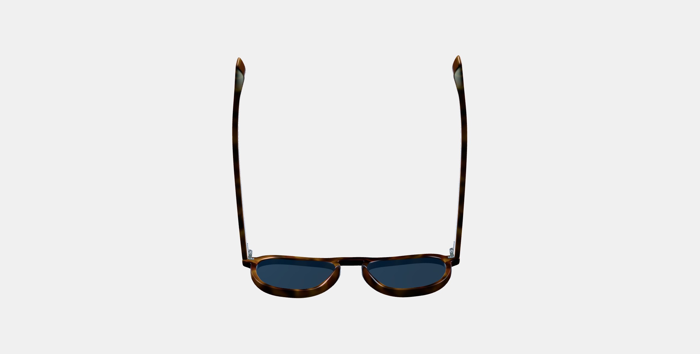 Blaise Sunglasses in Woodgrain Tortoise 3D model_6
