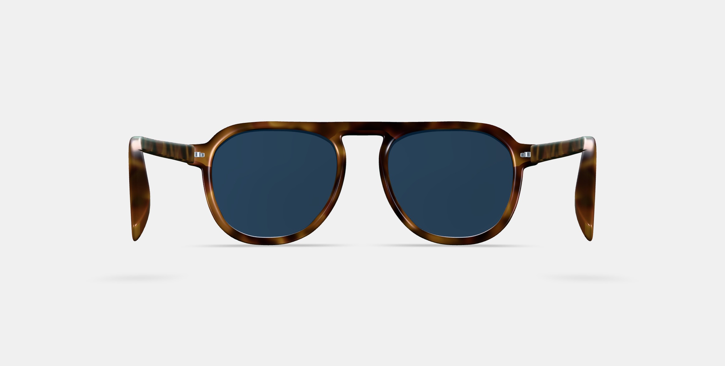Blaise Sunglasses in Woodgrain Tortoise 3D model_15