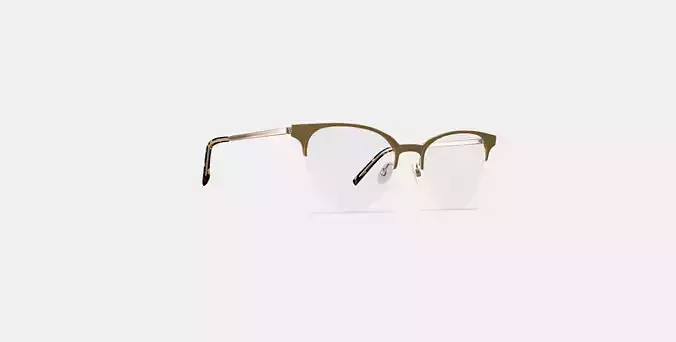 Sahana Eyeglasses in Polished Gold 3D model