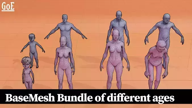 Humans Age BaseMesh Collection