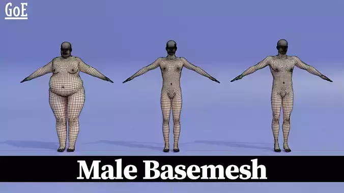 Males Basemesh Bundle - Different Weights