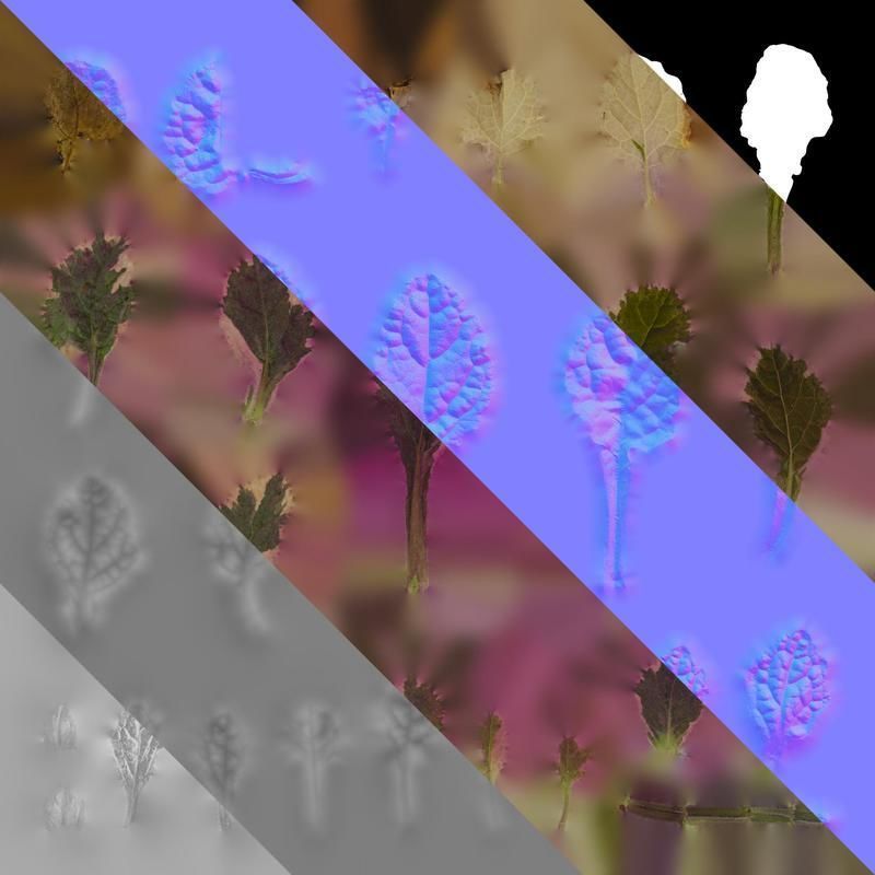 Anydrafts Ajuga reptans burgundy glow Leaf 01 Texture_8