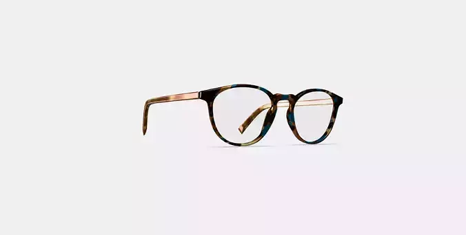 Butler Low Bridge Fit Eyeglasses in Teal Tortoise 3D model
