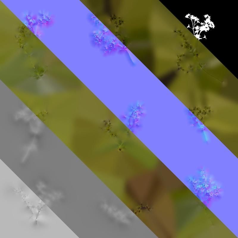 Anydrafts Alchemilla japonica Atlas 02 Texture_8