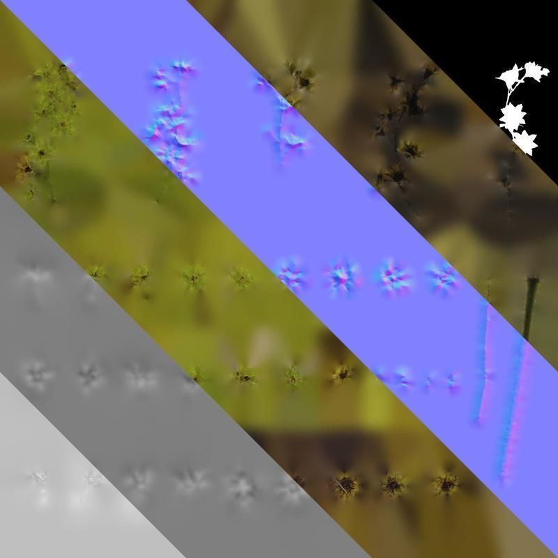 Anydrafts Alchemilla japonica Flower 01 Texture_8