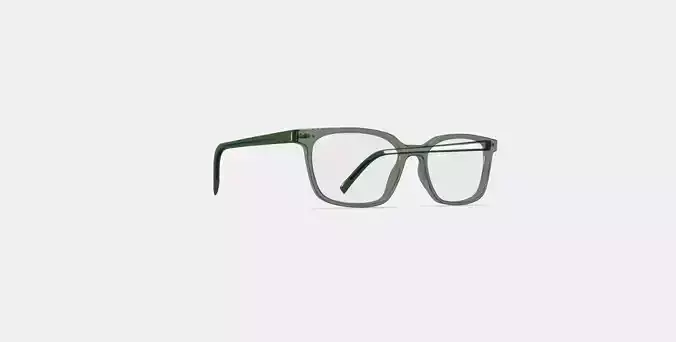 Weathers Eyeglasses in Rosemary Crystal 3D model