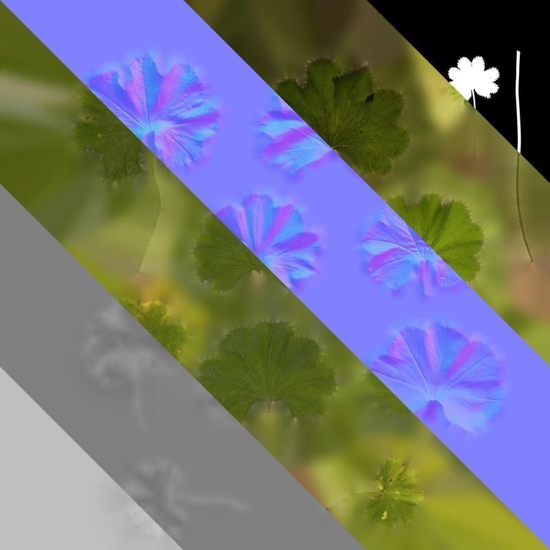 Anydrafts Alchemilla japonica Leaf 01 Texture_8