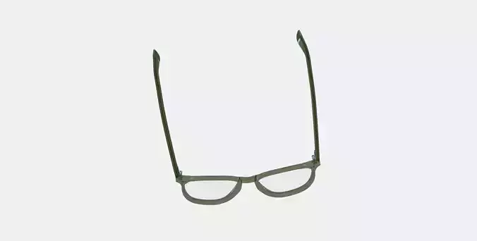 Carlton Low Bridge Fit Eyeglasses in Seaweed Crystal 3D model