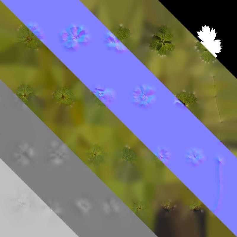 Anydrafts Alchemilla japonica Leaf 02 Texture_8