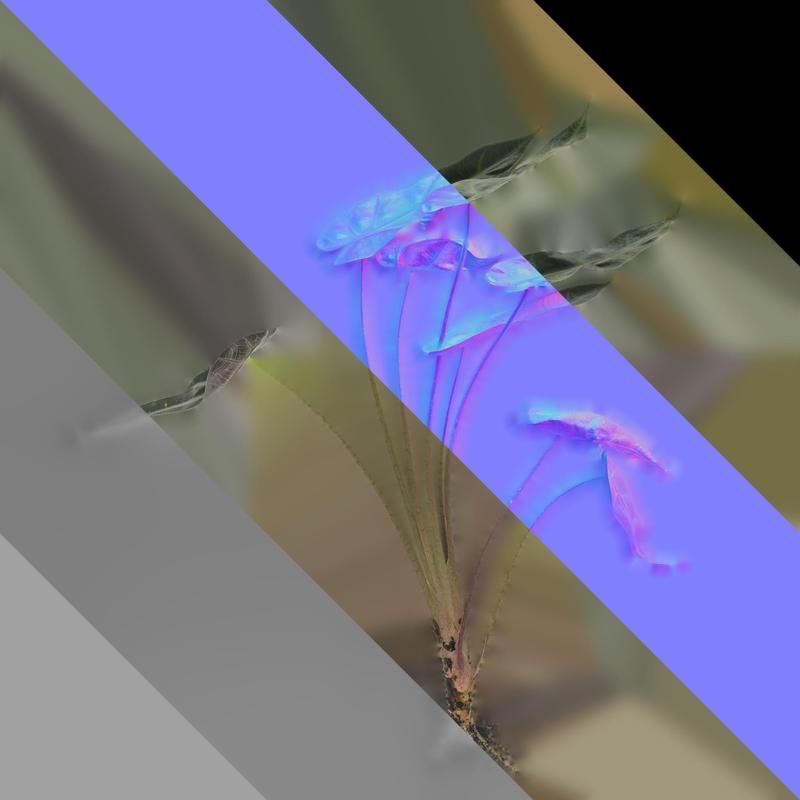 Anydrafts Alocasia x mortfontanensis Atlas 01 Texture_8