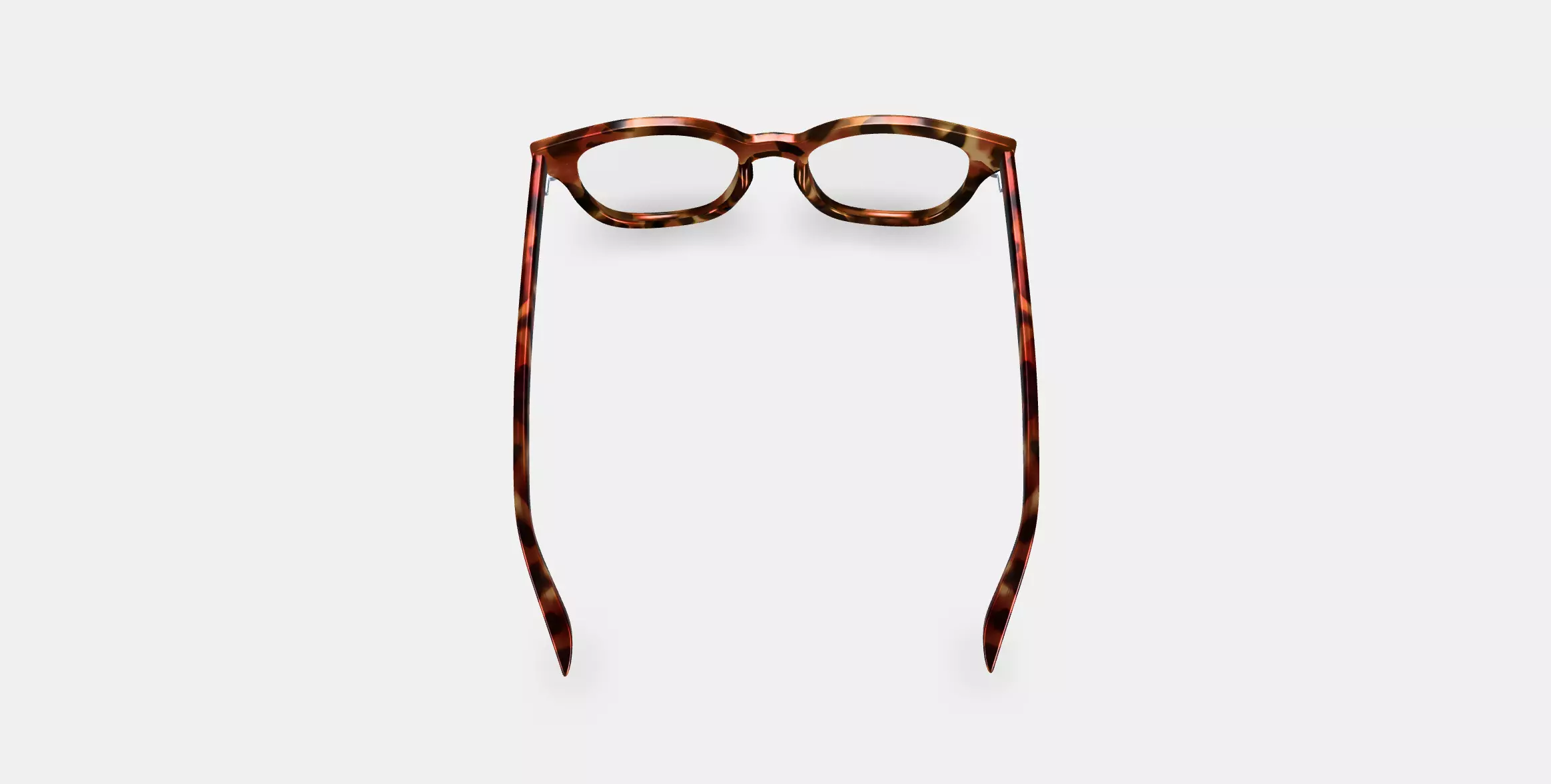 Della Eyeglasses in Acorn Tortoise 3D model_0
