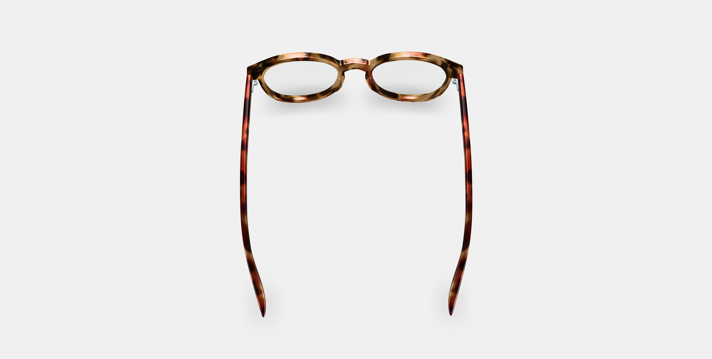 Anselm Eyeglasses in Acorn Tortoise 3D model_2