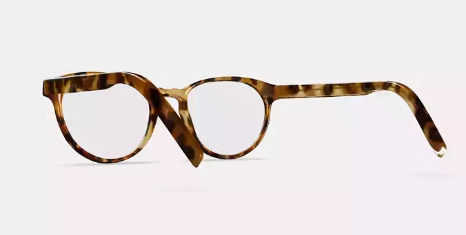 Whalen Eyeglasses in Acorn Tortoise