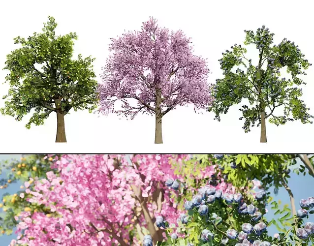 3D Plum Tree Pack