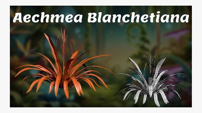 Aechmea Blanchetiana Low-poly 3D model