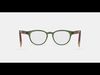 Percey Eyeglasses in Seaweed Crystal with Amber Tortoise 3D model_1