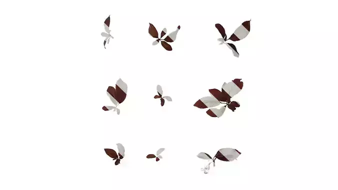 Anydrafts Prunus cerasifera Leaf 07