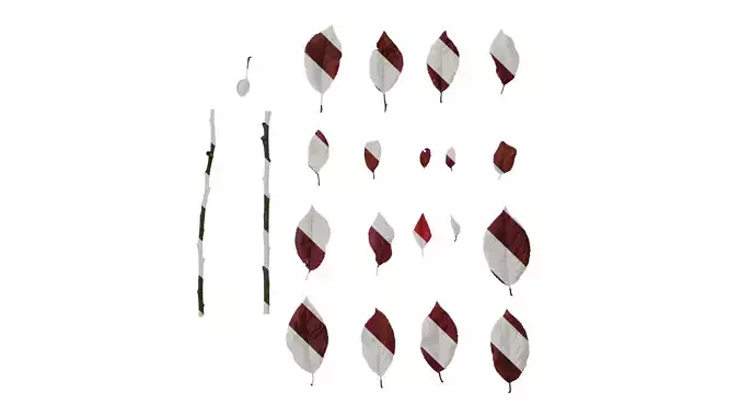 Anydrafts Prunus cerasifera Leaf 08