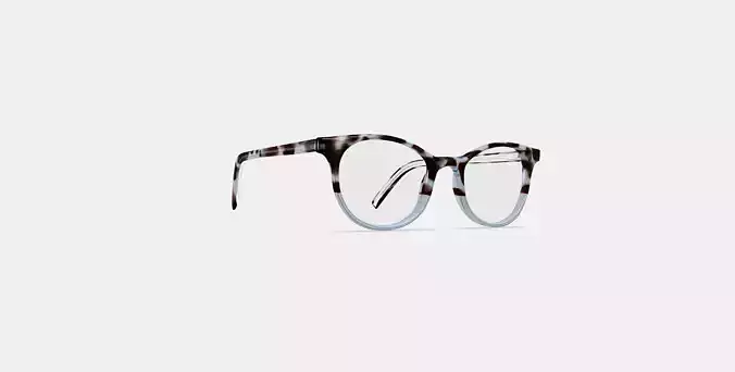 Virginia Eyeglasses in Icecap Tortoise Fade
