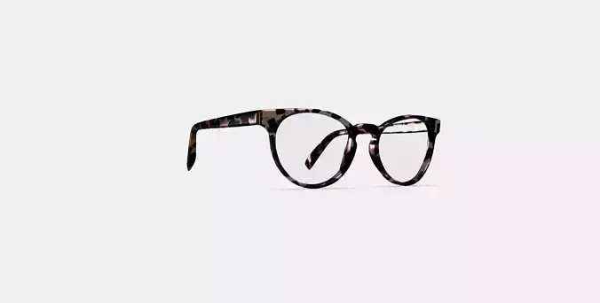 Leila Eyeglasses in Smoky Pearl Tortoise 3D model