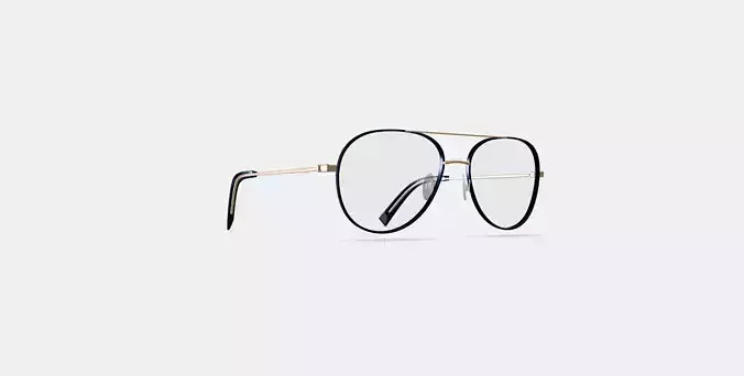 York Eyeglasses in Brushed Ink with Polished Gold 3D model