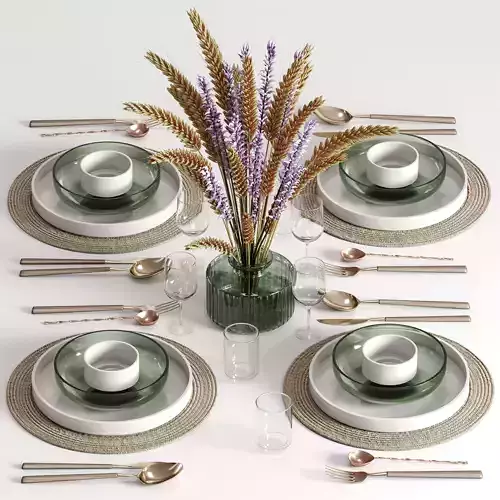 tableware setting N051 3D model