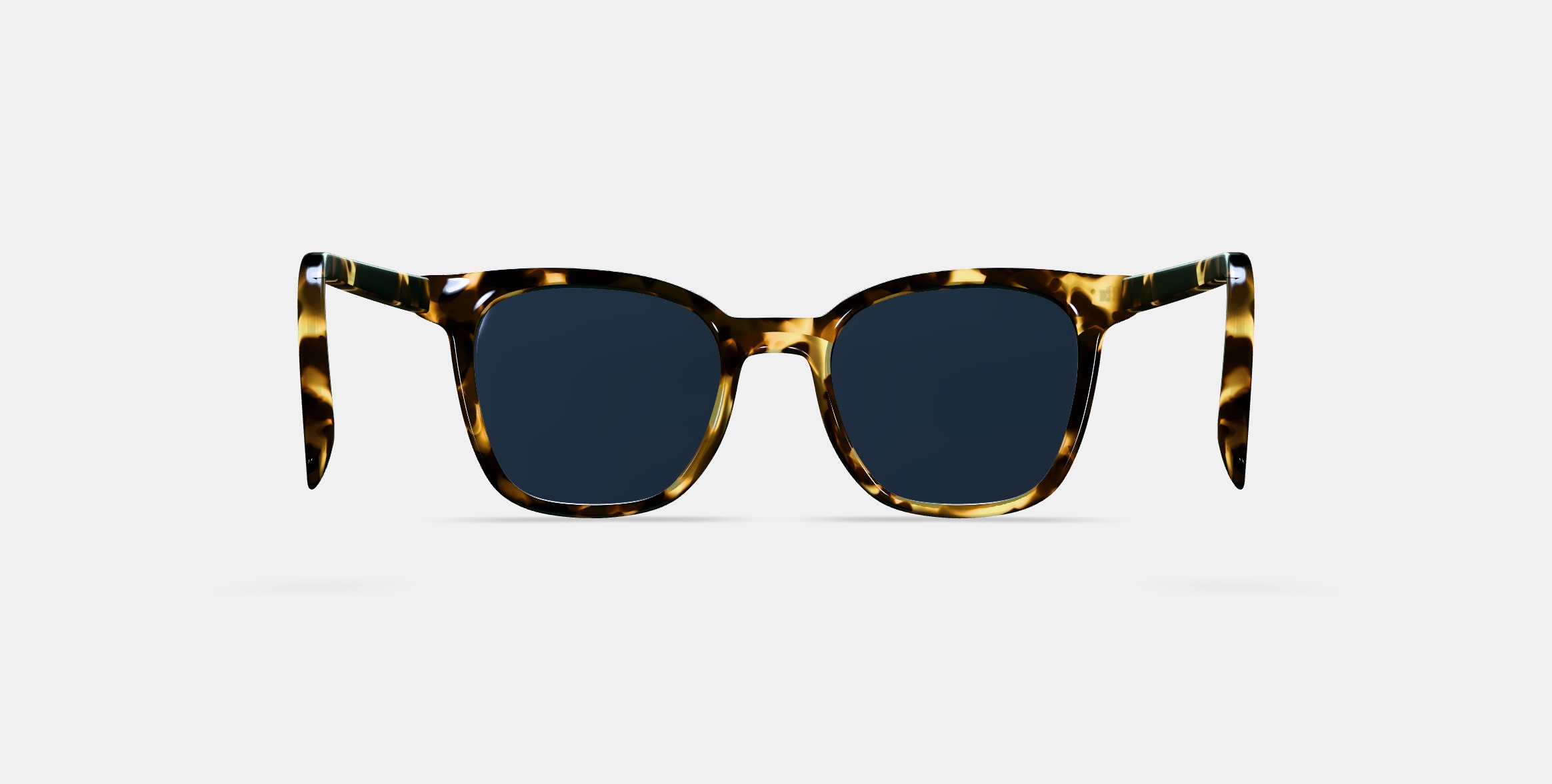 Griffin Sunglasses in Burnt Honeycomb Tortoise 3D model_15