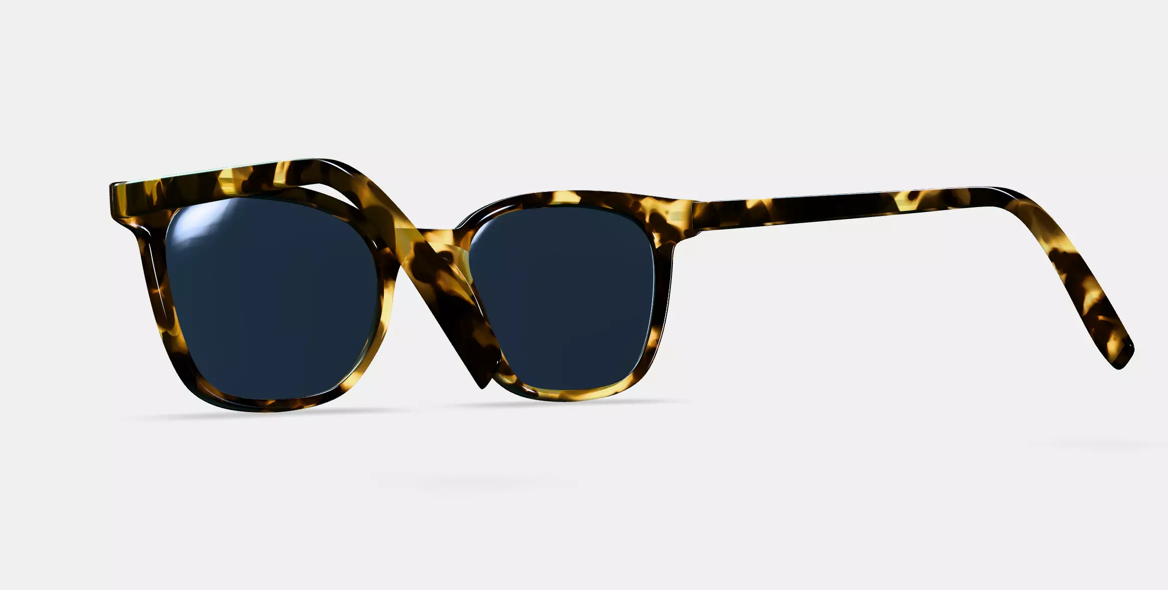 Griffin Sunglasses in Burnt Honeycomb Tortoise 3D model_0