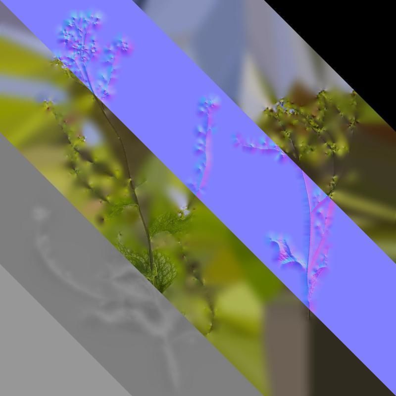 Anydrafts Anchusa italica Atlas 02 Texture_8