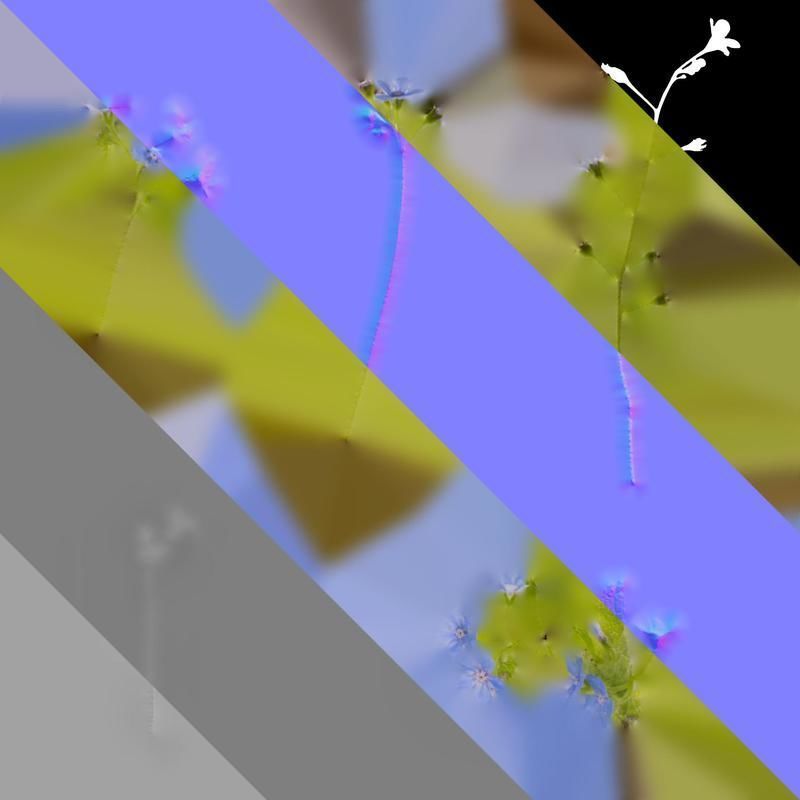 Anydrafts Anchusa italica Flower 02 Texture_8