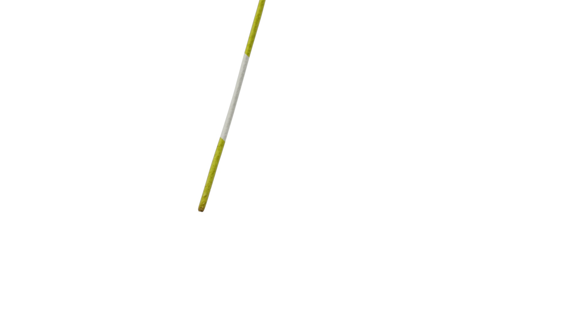 Anydrafts Anchusa italica Flower 02 Texture_7