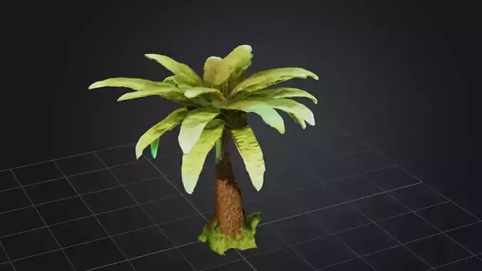 Tropical Elegance Tree