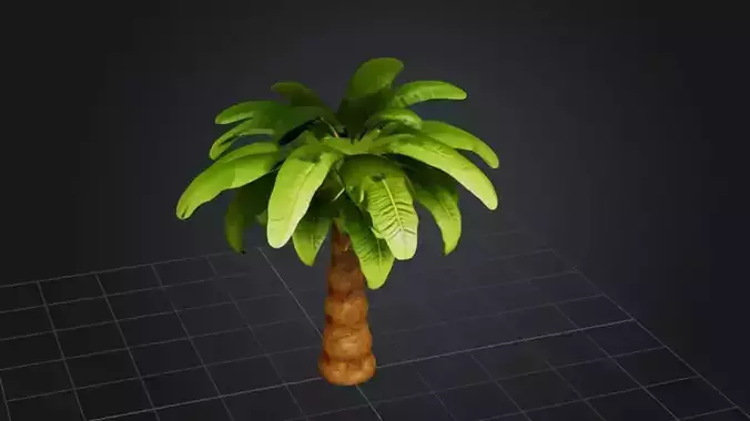 Palm Paradise Tree