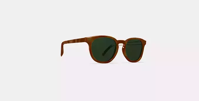 Toddy Sunglasses in Sequoia Tortoise