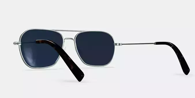 Abe Sunglasses in Polished Silver