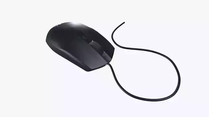 Computer Mouse
