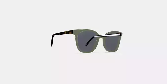 Griffin Sunglasses in Seaweed Crystal with Cognac Tortoise