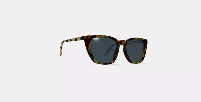 Janelle Sunglasses in Seashore Tortoise 3D model