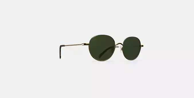 Satler Sunglasses in Polished Gold